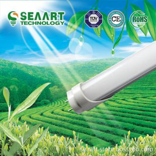 LED tube T8 0.6M 2ft 10W with SMD3014 high brightness